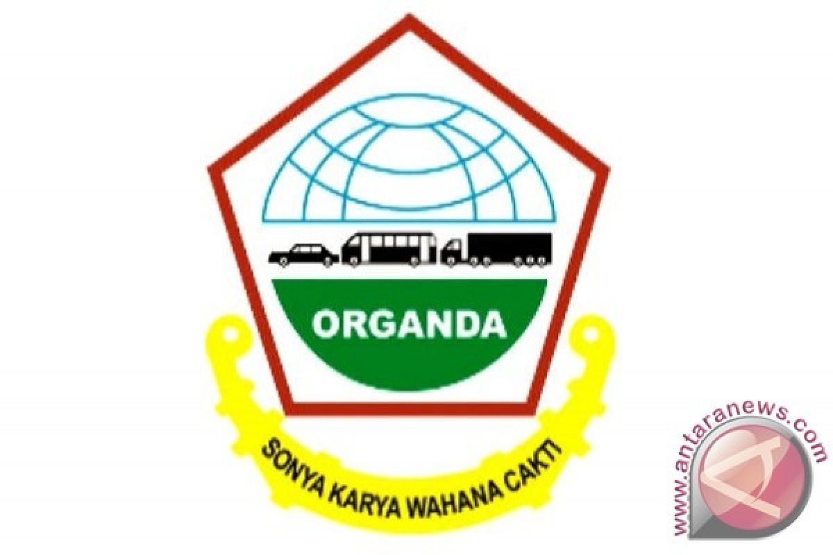 ORGANDA DIY